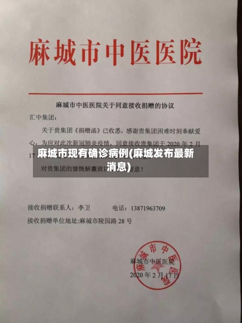 麻城市现有确诊病例(麻城发布最新消息)-第2张图片