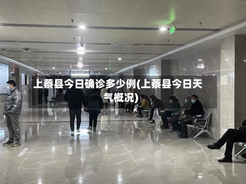 上蔡县今日确诊多少例(上蔡县今日天气概况)