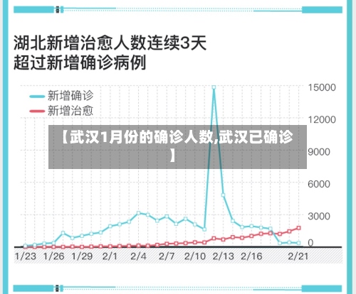 【武汉1月份的确诊人数,武汉已确诊】-第2张图片