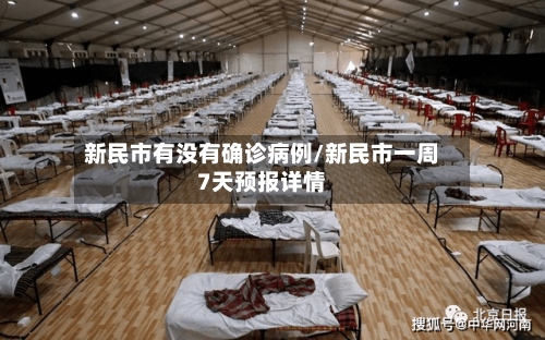 新民市有没有确诊病例/新民市一周7天预报详情-第3张图片