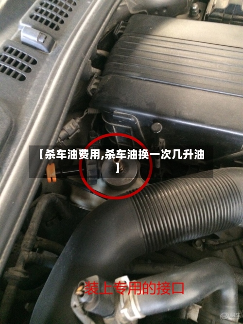 【杀车油费用,杀车油换一次几升油】