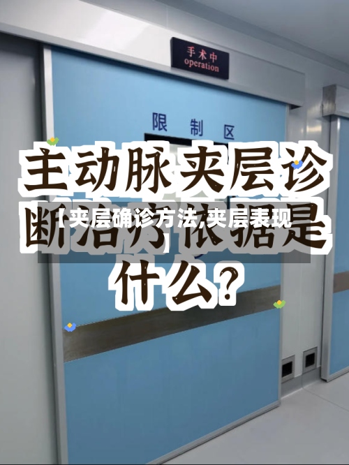 【夹层确诊方法,夹层表现】-第3张图片