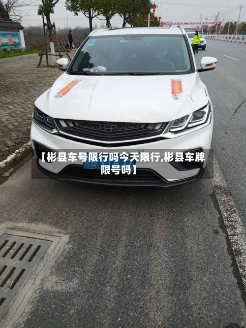【彬县车号限行吗今天限行,彬县车牌限号吗】-第3张图片