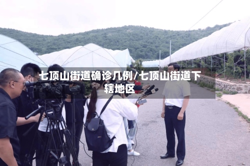 七顶山街道确诊几例/七顶山街道下辖地区