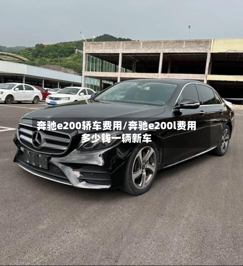 奔驰e200轿车费用/奔驰e200l费用多少钱一辆新车