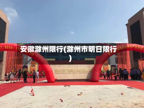 安徽滁州限行(滁州市明日限行)