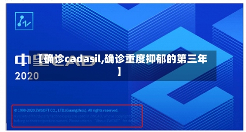 【确诊cadasil,确诊重度抑郁的第三年】-第3张图片