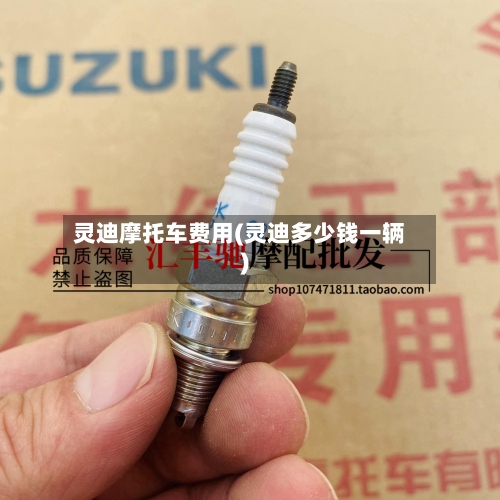 灵迪摩托车费用(灵迪多少钱一辆)-第2张图片