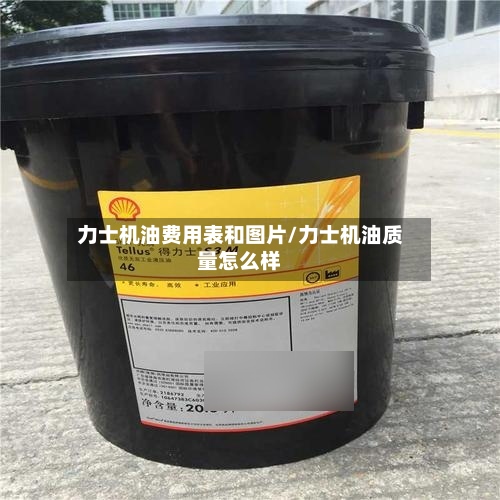 力士机油费用表和图片/力士机油质量怎么样-第2张图片