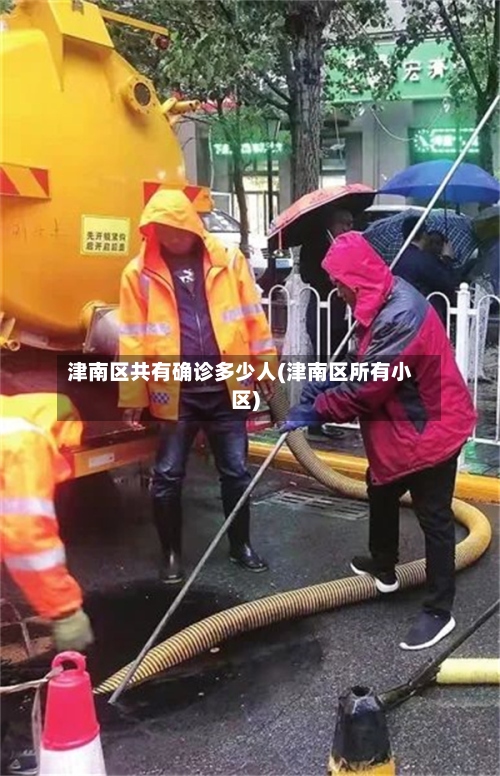津南区共有确诊多少人(津南区所有小区)