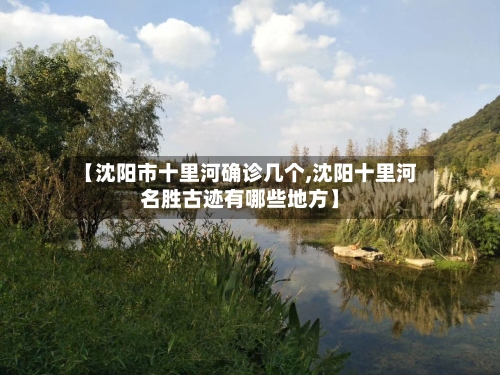 【沈阳市十里河确诊几个,沈阳十里河名胜古迹有哪些地方】