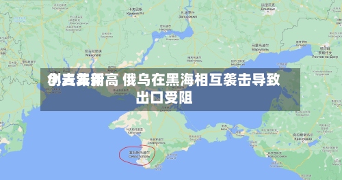 小麦费用创三年新高 俄乌在黑海相互袭击导致出口受阻-第3张图片