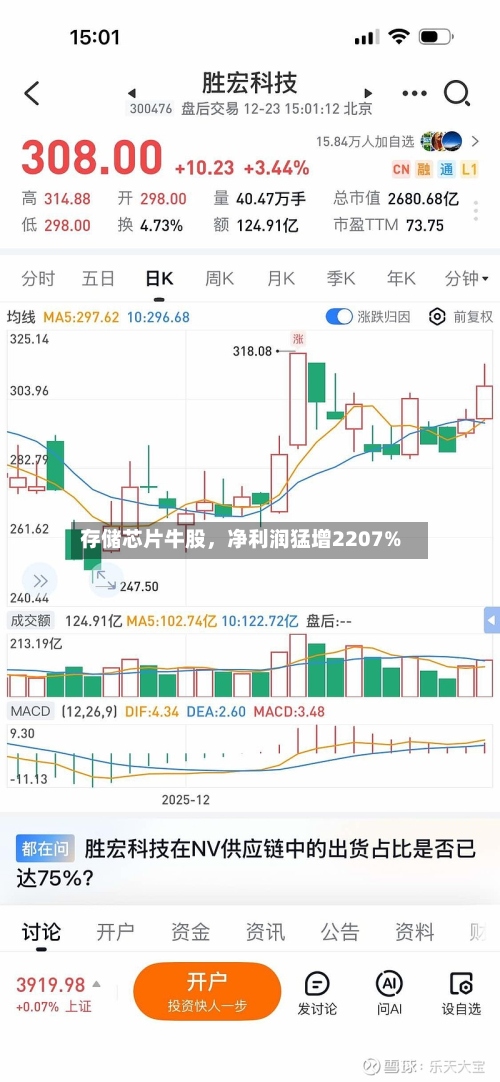 存储芯片牛股，净利润猛增2207%-第2张图片