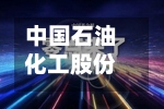 中国石油化工股份连续2日回购	，累计回购462.60万股-第2张图片