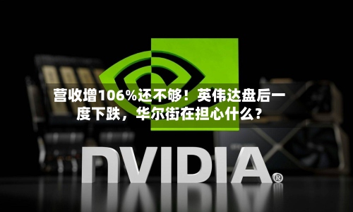 营收增106%还不够！英伟达盘后一度下跌，华尔街在担心什么？