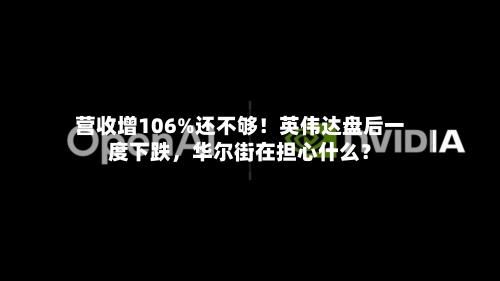 营收增106%还不够！英伟达盘后一度下跌	，华尔街在担心什么？-第2张图片