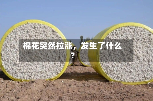 棉花突然拉涨，发生了什么？-第1张图片