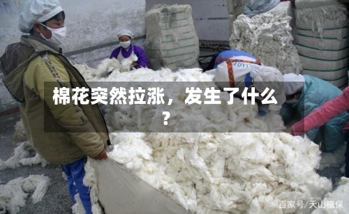 棉花突然拉涨，发生了什么？-第3张图片