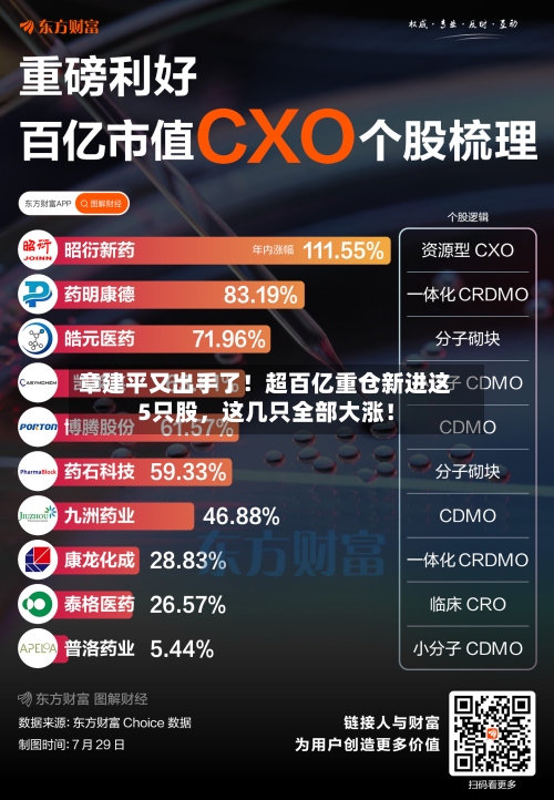 章建平又出手了！超百亿重仓新进这5只股，这几只全部大涨！-第2张图片