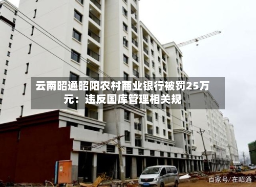云南昭通昭阳农村商业银行被罚25万元：违反国库管理相关规