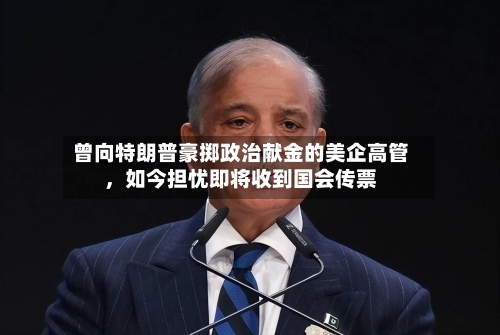 曾向特朗普豪掷政治献金的美企高管，如今担忧即将收到国会传票-第3张图片