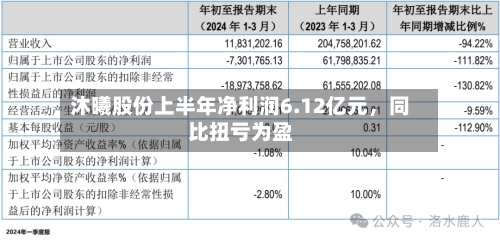 沐曦股份上半年净利润6.12亿元	，同比扭亏为盈-第2张图片