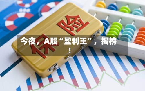 今夜，A股“盈利王”	，揭榜！-第3张图片