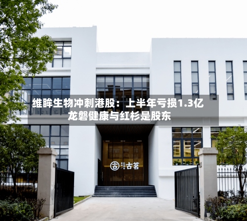 维眸生物冲刺港股：上半年亏损1.3亿 龙磐健康与红杉是股东-第2张图片