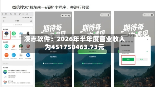 凌志软件：2026年半年度营业收入为451750463.73元-第3张图片