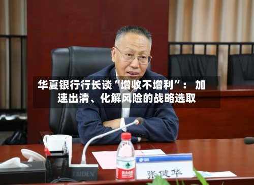 华夏银行行长谈“增收不增利	”： 加速出清、化解风险的战略选取-第2张图片