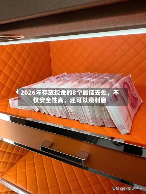 2026年存放现金的8个最佳去处	，不仅安全性高，还可以赚利息-第2张图片