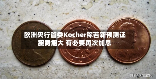 欧洲央行管委Kocher称若新预测证实费用压力加大 有必要再次加息