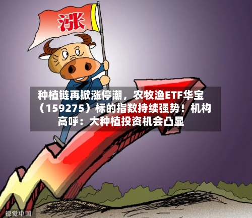 种植链再掀涨停潮，农牧渔ETF华宝（159275）标的指数持续强势！机构高呼：大种植投资机会凸显