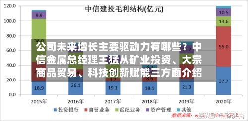 公司未来增长主要驱动力有哪些？中信金属总经理王猛从矿业投资	、大宗商品贸易、科技创新赋能三方面介绍-第3张图片