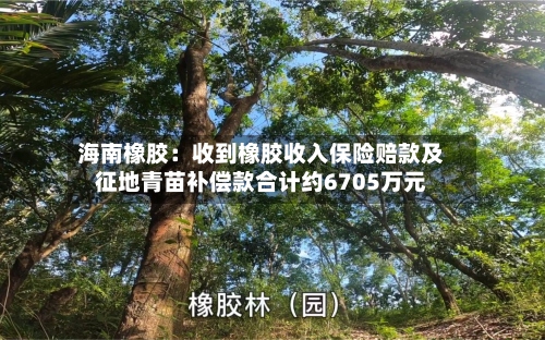 海南橡胶:收到橡胶收入保险赔款及征地青苗补偿款合计约6705万元-第2张图片