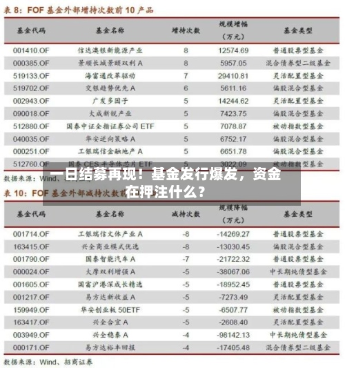 一日结募再现！基金发行爆发，资金在押注什么？-第3张图片