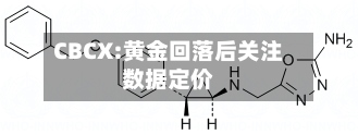 CBCX:黄金回落后关注数据定价-第2张图片